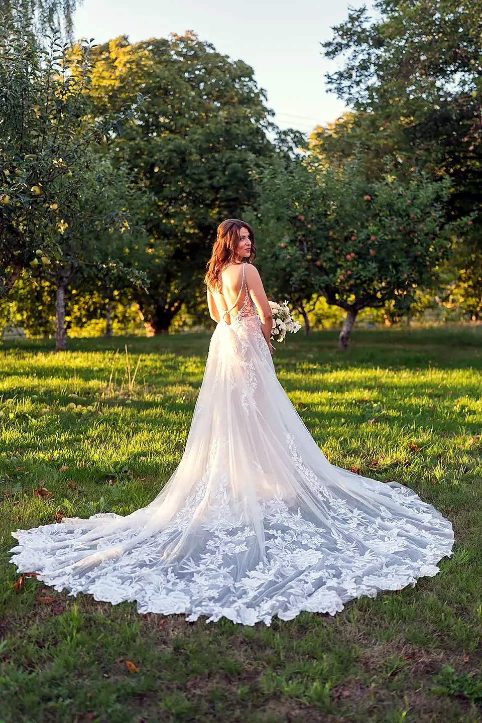 Bride in a lace gown at golden hour in an orchard